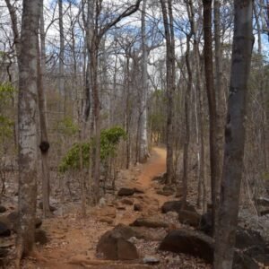 DSC_0308-683x1024